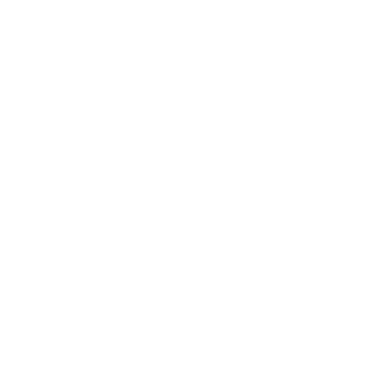 Vallarta & Bahía Real Estate