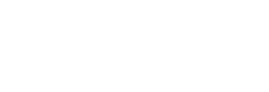 WebKoi Studio